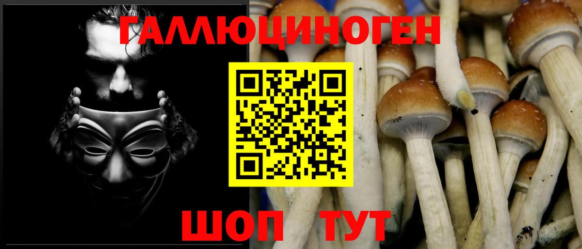 Галлюциногенные грибы мицелий Урюпинск